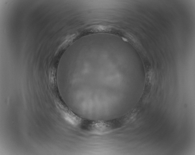 X0000082170423200701191312