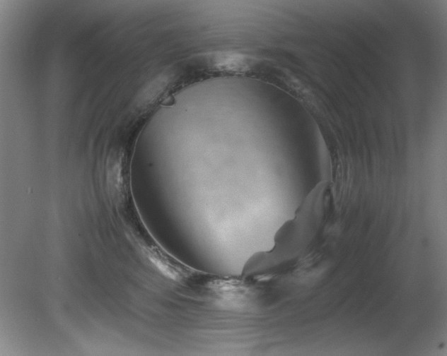 X0000082170424200701191312