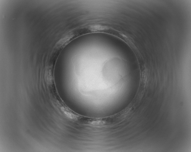 X0000082170426200701191312