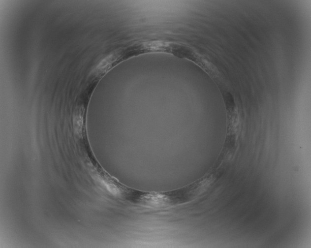 X0000082170427200701191312