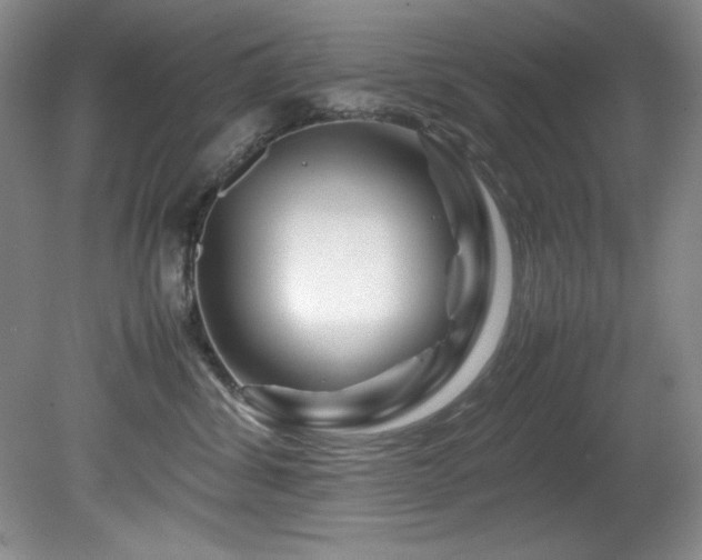 X0000082170428200701191312