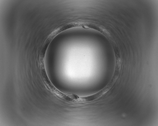 X0000082170429200701191312