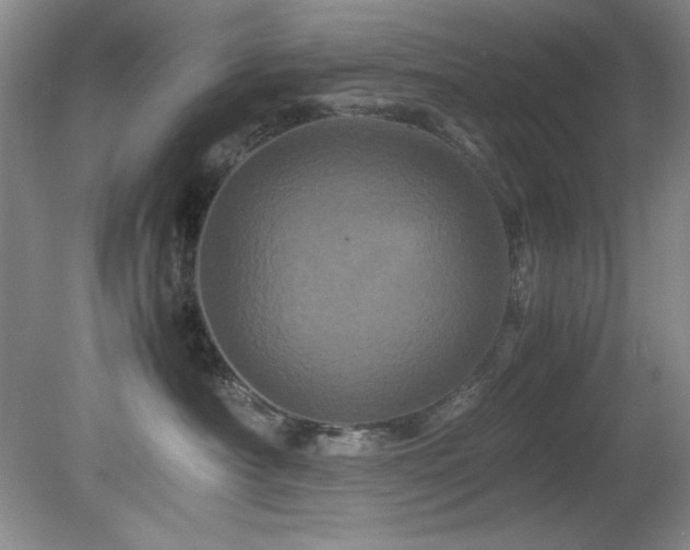 X0000082170430200701191312