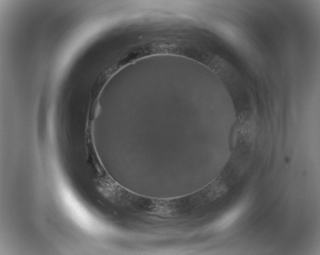 X0000082170431200701191312