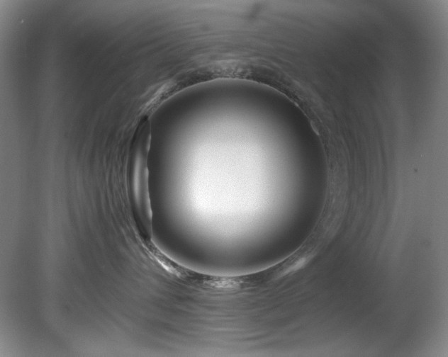 X0000082170432200701191312