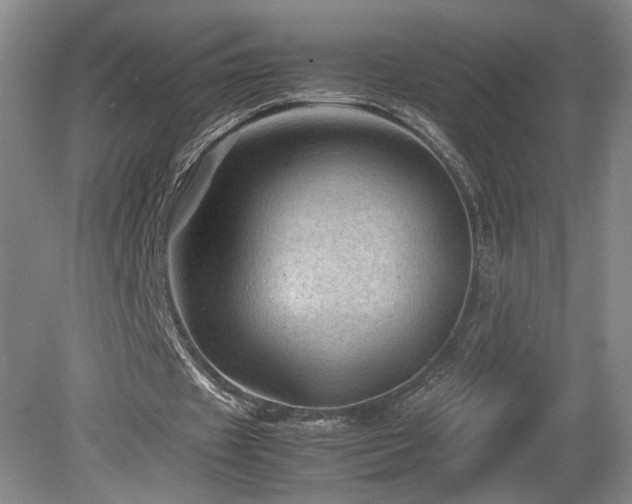 X0000082170433200701191311