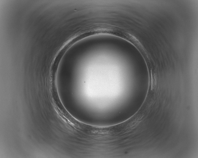 X0000082170435200701191311