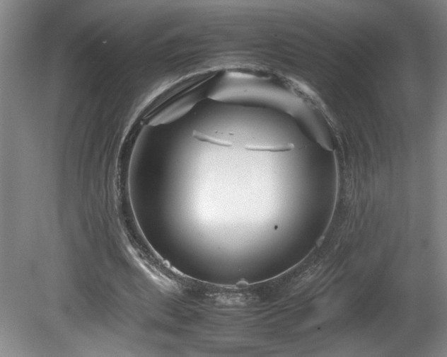 X0000082170439200701191311