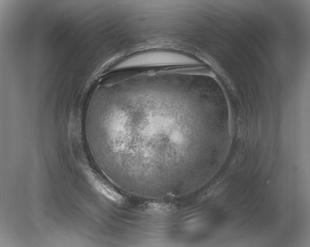 X0000082170442200701191311