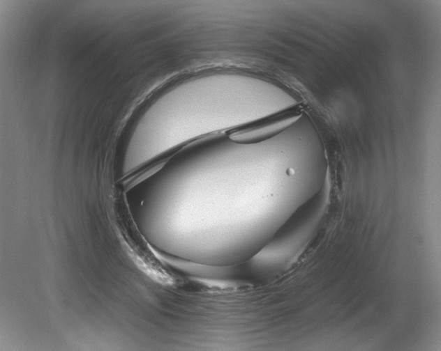 X0000082170444200701191311