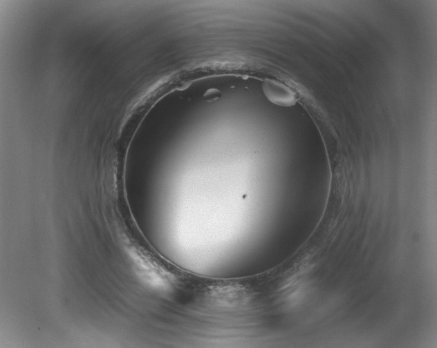 X0000082170446200701191311