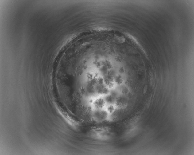 X0000082170447200701191312