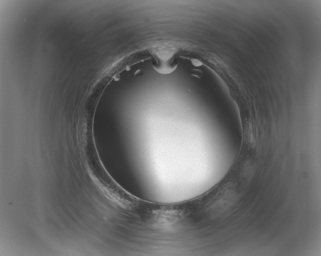 X0000082170448200701191312