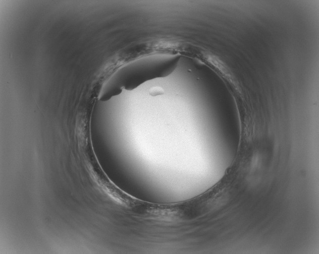 X0000082170449200701191312