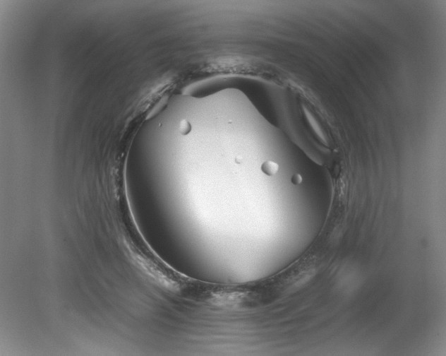 X0000082170450200701191312