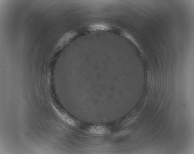 X0000082170451200701191312