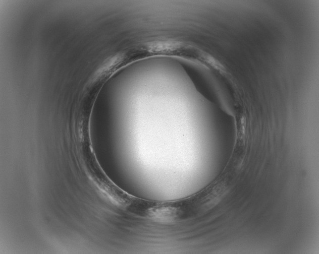 X0000082170452200701191312