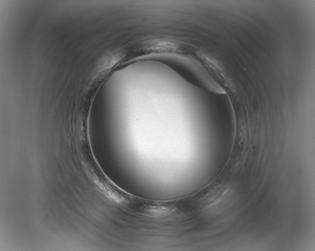 X0000082170453200701191312