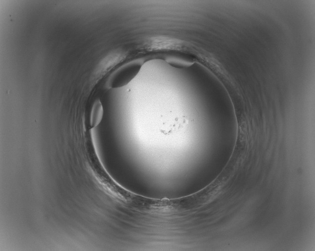 X0000082170454200701191312