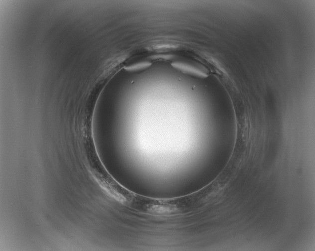 X0000082170455200701191312