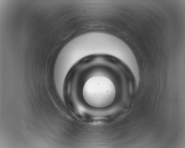 X0000082170456200701191312