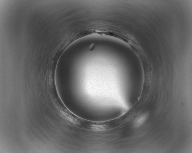 X0000082170457200701191312