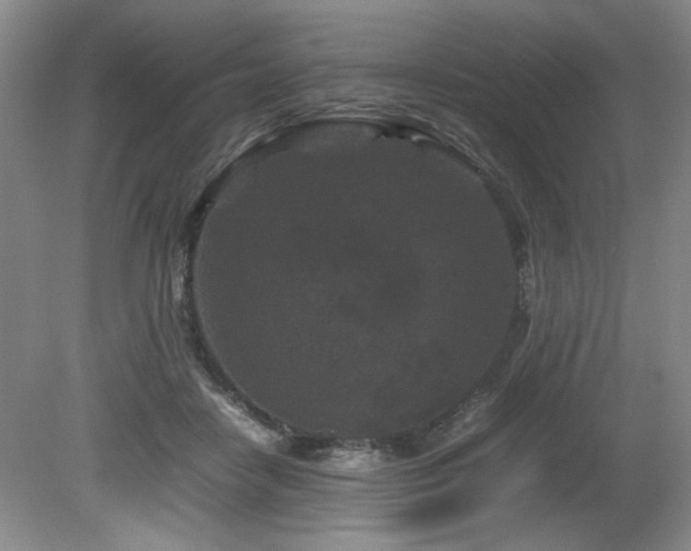 X0000082170458200701191312