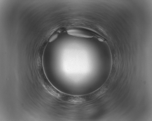 X0000082170459200701191312