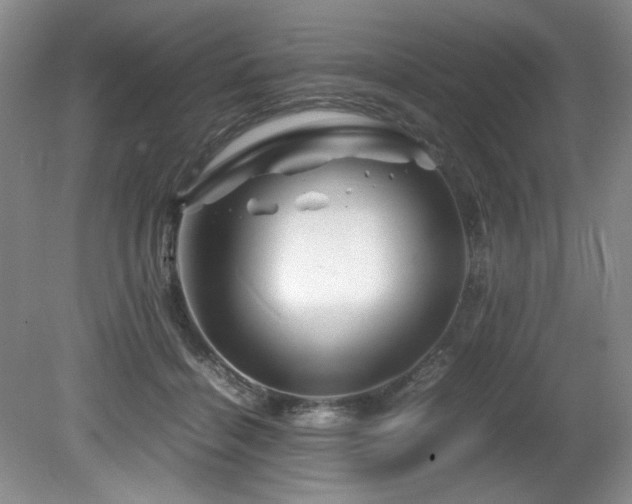 X0000082170460200701191312