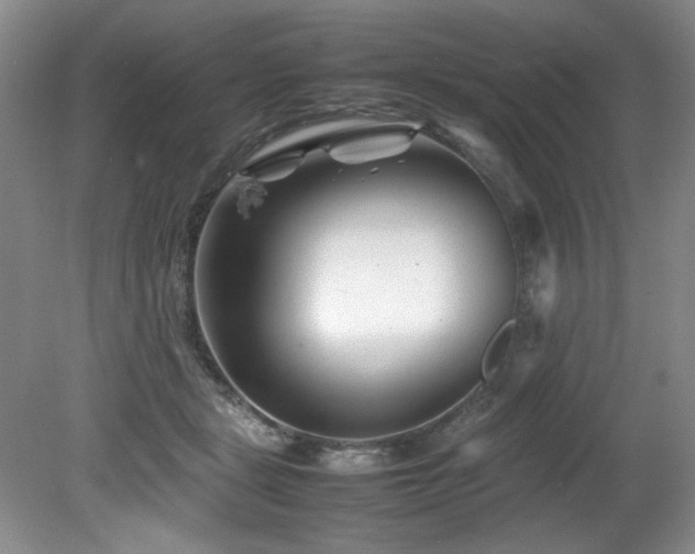 X0000082170461200701191312