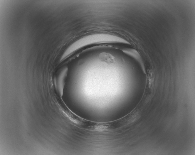 X0000082170462200701191312