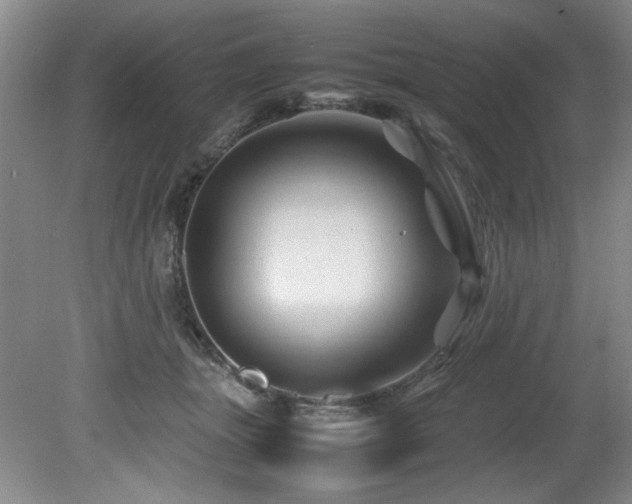 X0000082170463200701191312