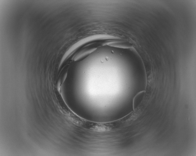 X0000082170464200701191312