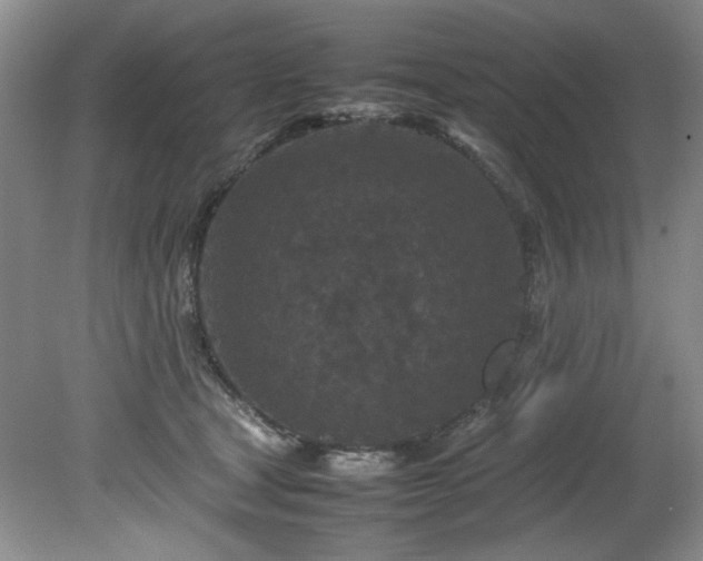 X0000082170465200701191312