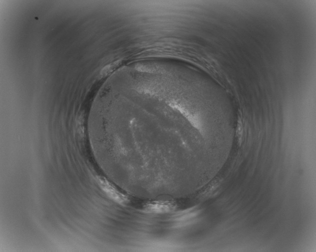 X0000082170466200701191312