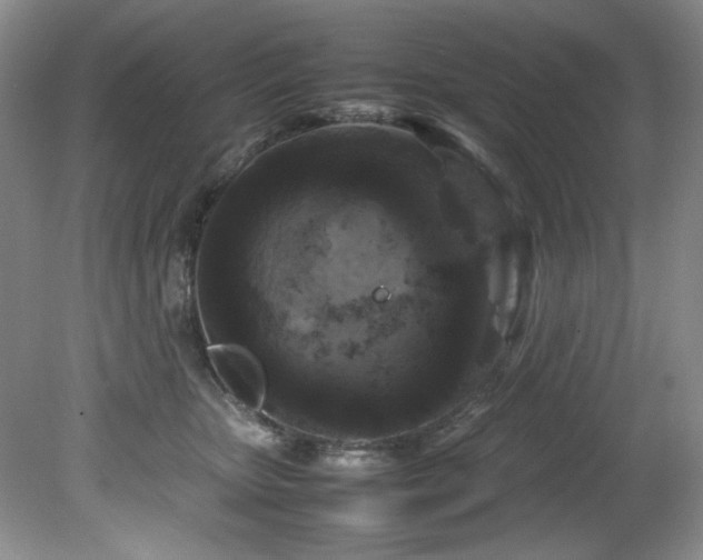 X0000082170467200701191312