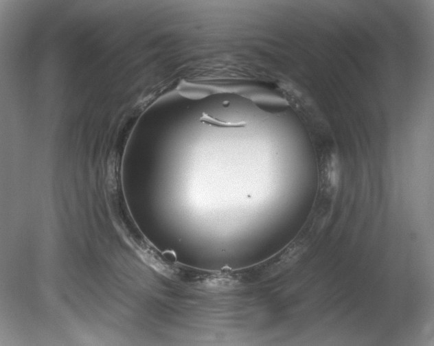 X0000082170468200701191312