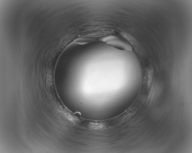 X0000082170469200701191312