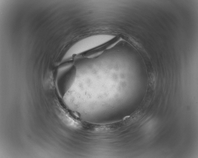 X0000082170470200701191312