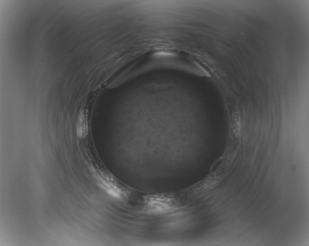 X0000082170471200701191312