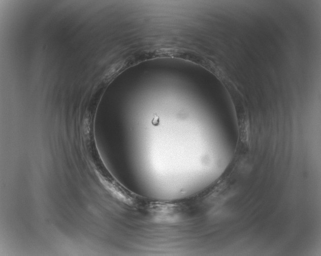 X0000082170472200701191312