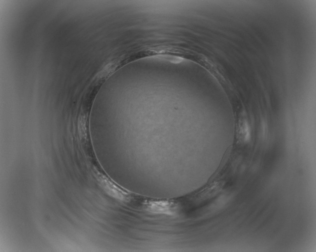 X0000082170473200701191312