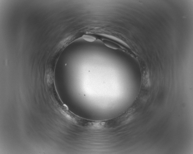 X0000082170474200701191312