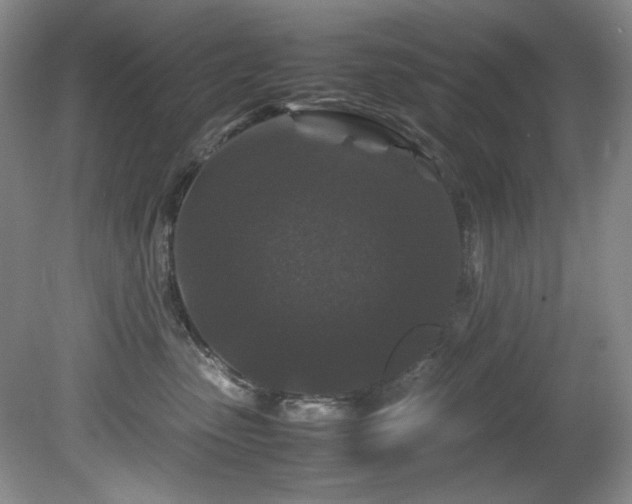 X0000082170475200701191312