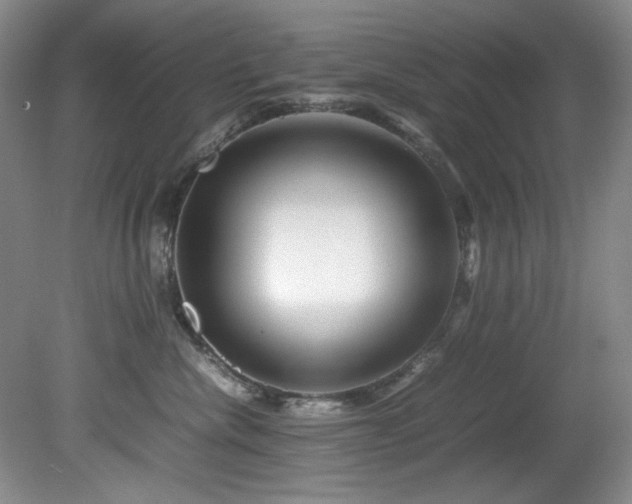 X0000082170476200701191312