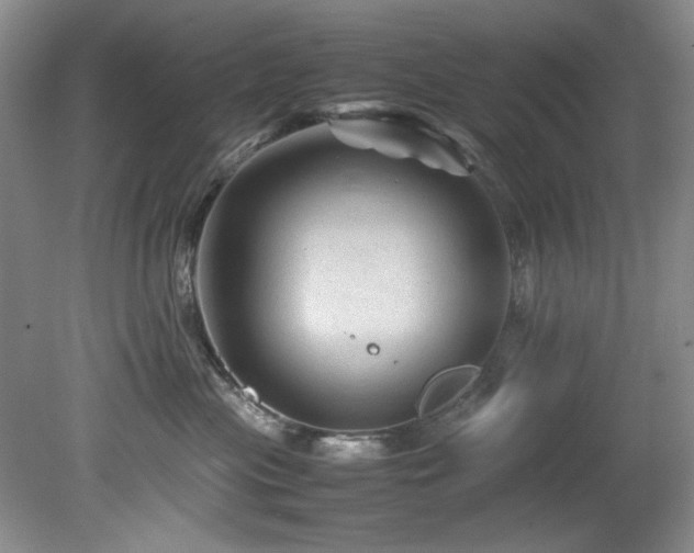 X0000082170477200701191312