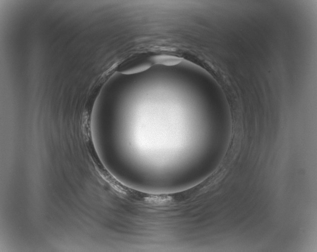 X0000082170480200701191312