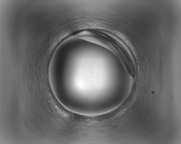 X0000082170481200701191311