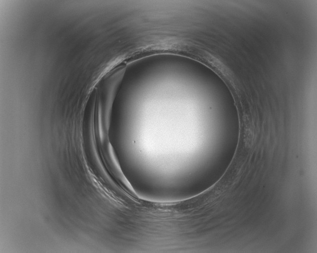 X0000082170482200701191311