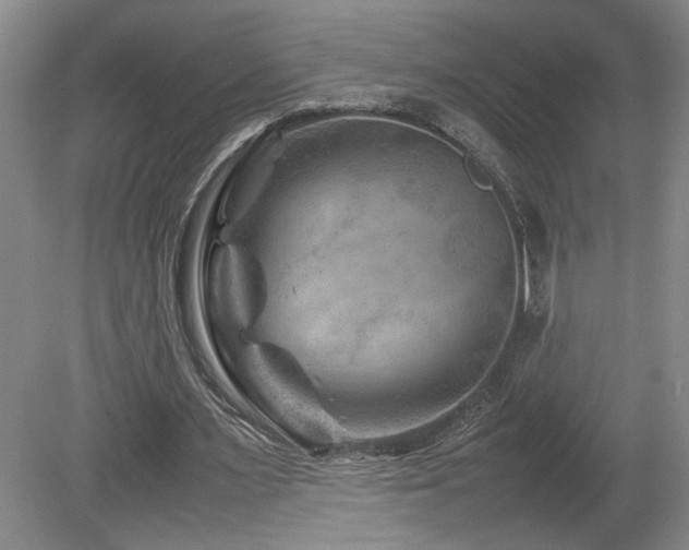 X0000082170483200701191311